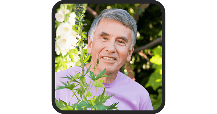 Prodentim User Reviews 1